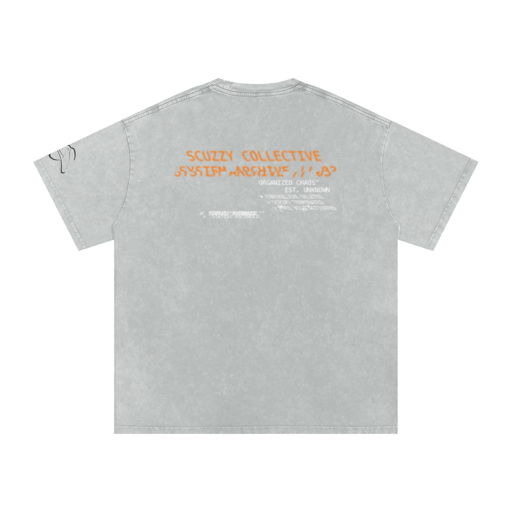 Oversized,Snow wash,Nwo,Scuzzy,Vintage